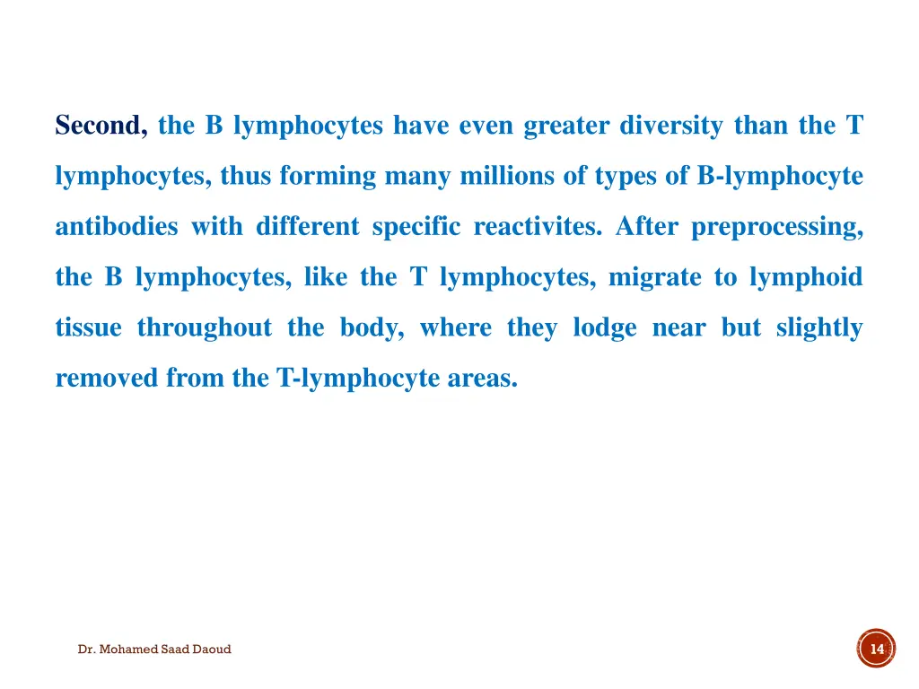 second the b lymphocytes have even greater