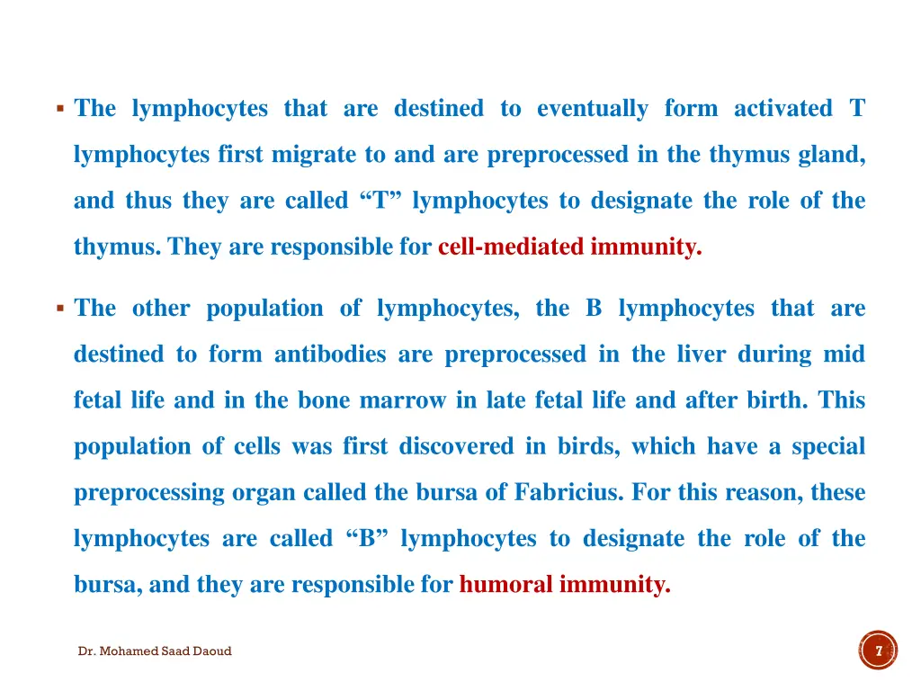 the lymphocytes that are destined to eventually