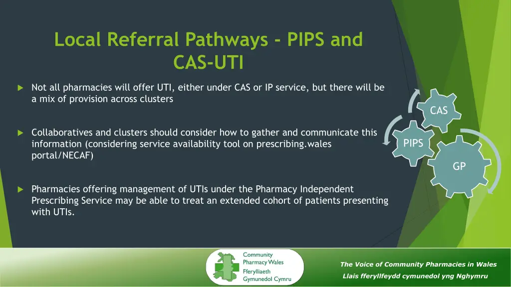 local referral pathways pips and cas uti