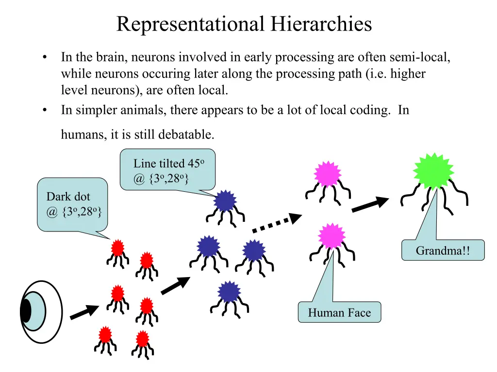 representational hierarchies