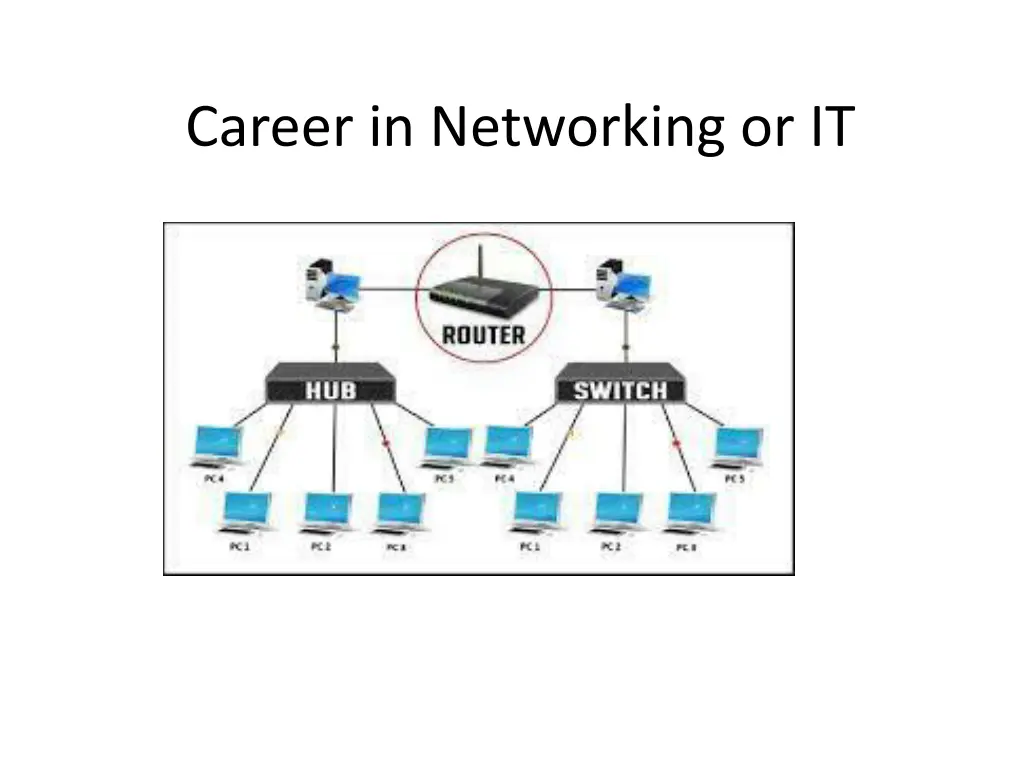 career in networking or it 12