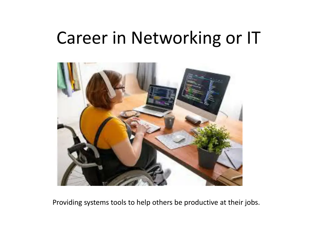 career in networking or it 2
