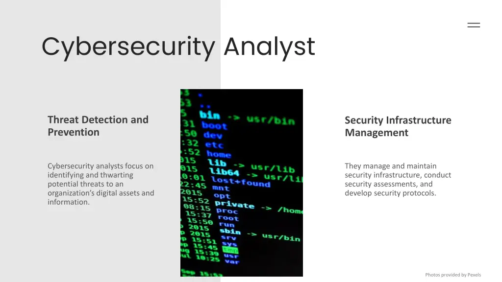 cybersecurity analyst