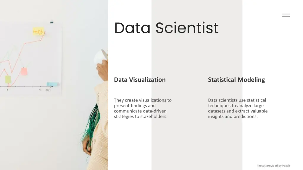 data scientist