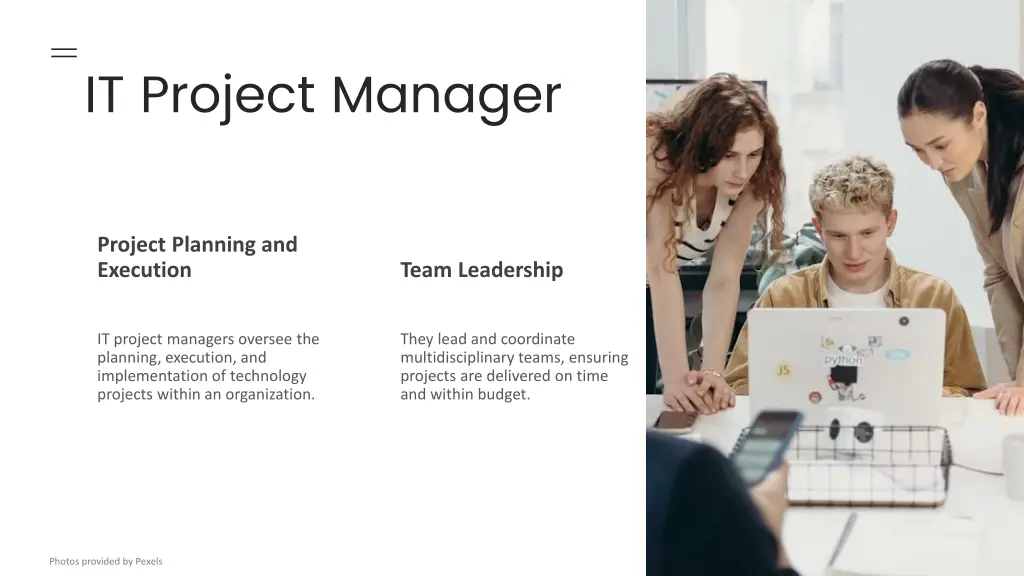 it project manager