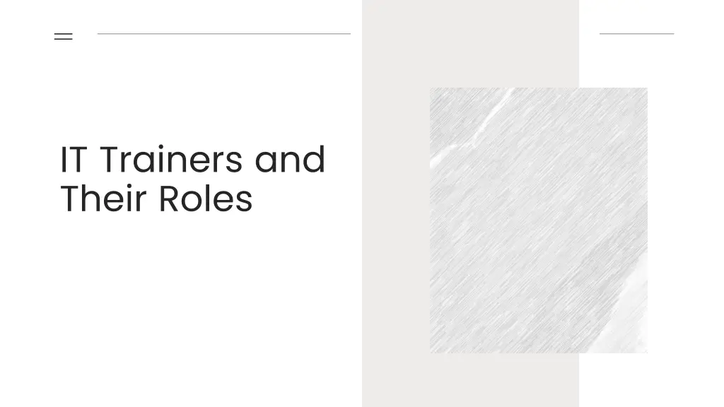 it trainers and their roles