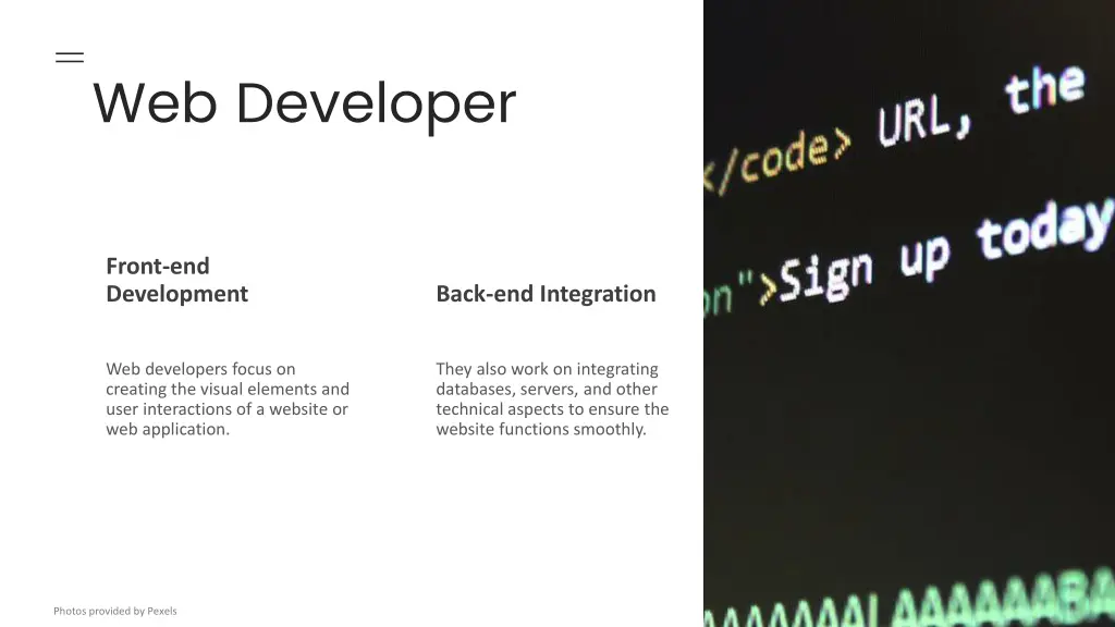 web developer