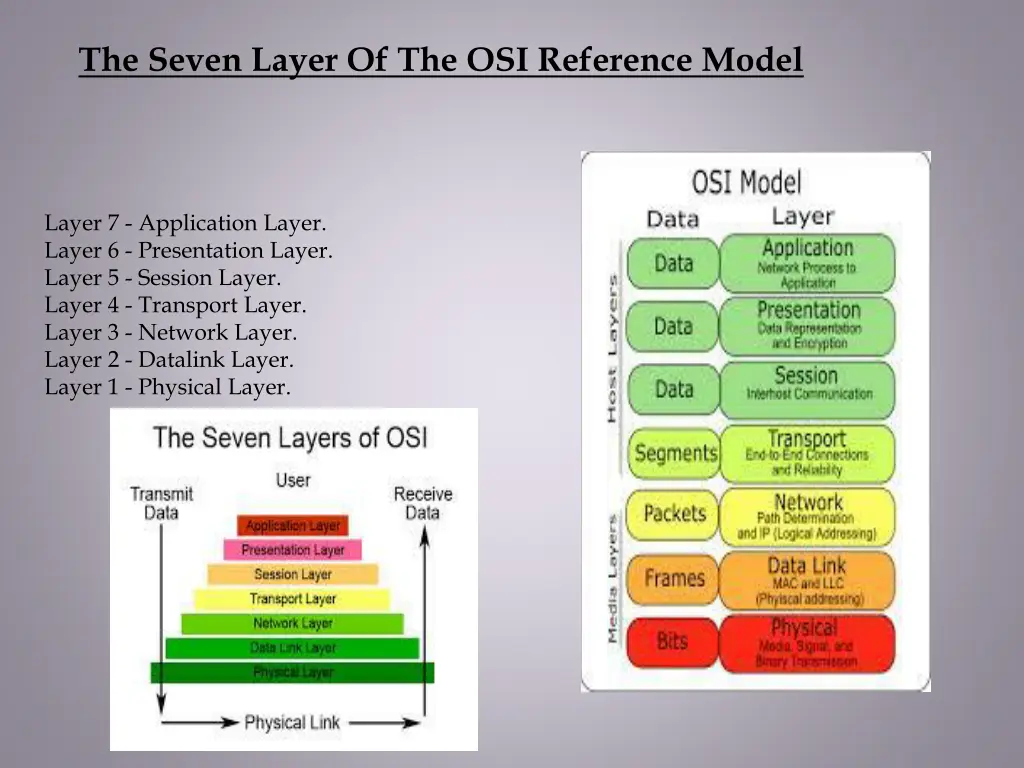 the seven layer of the osi reference model