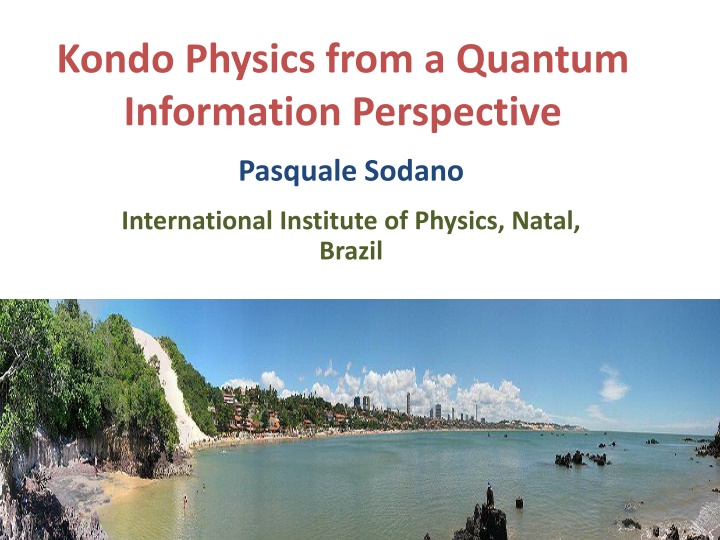 kondo physics from a quantum information