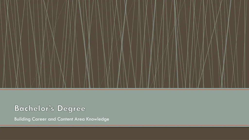 bachelor s degree