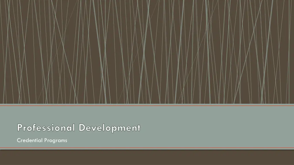 professional development