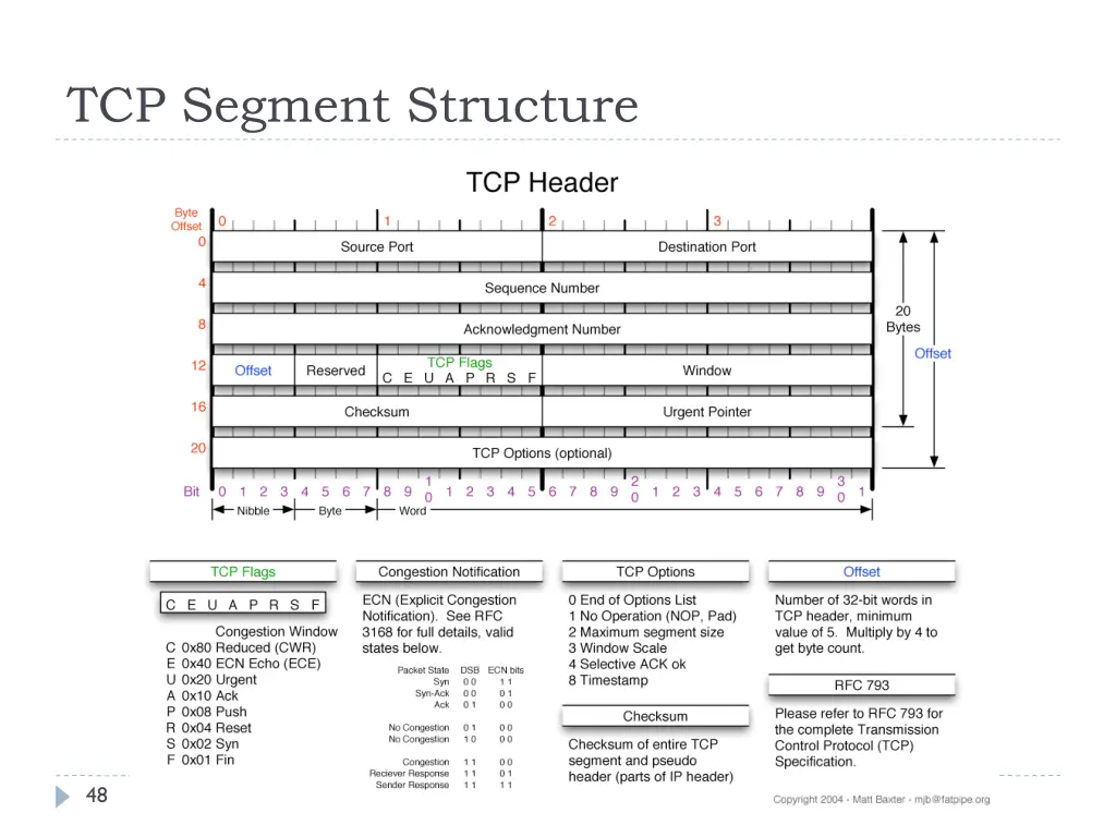 tcp segment structure