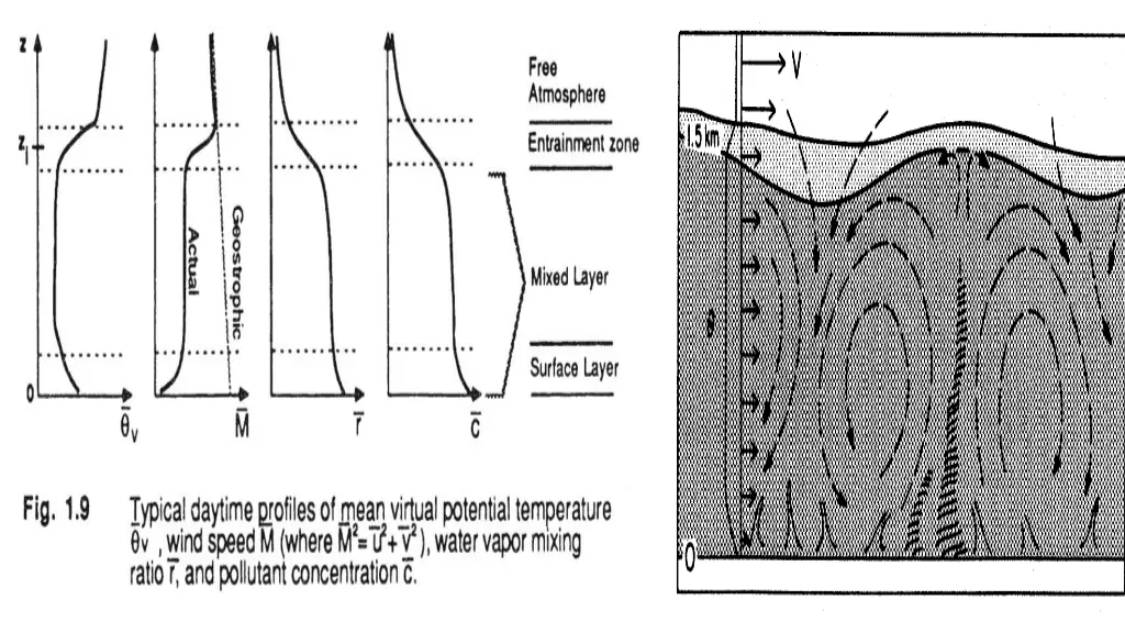 slide9