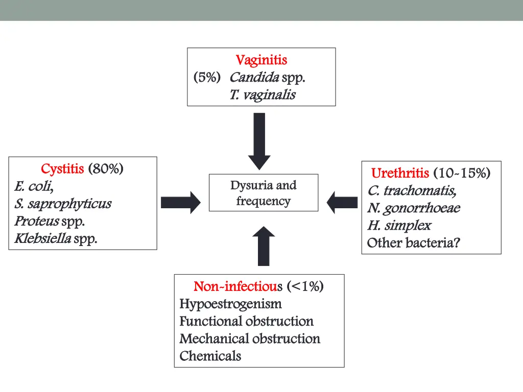 vaginitis vaginitis candida spp t vaginalis