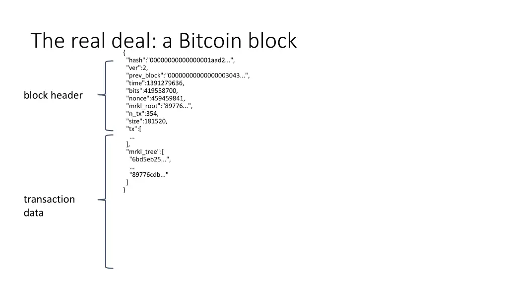 the real deal a bitcoin block hash