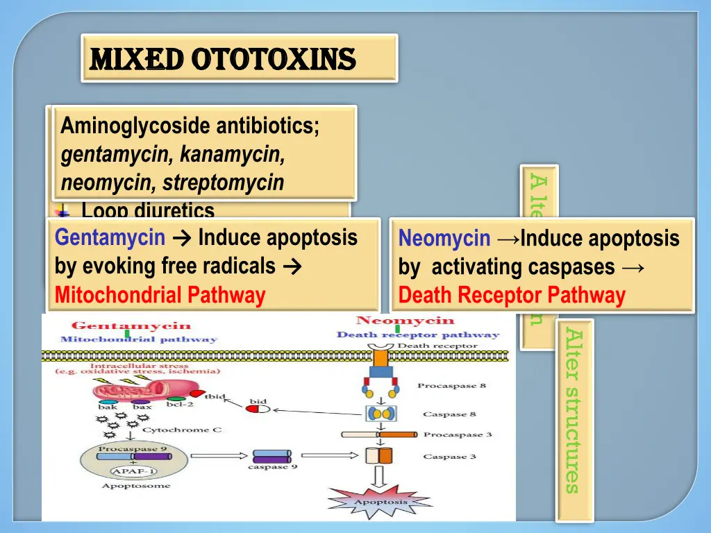 mixed mixed ototoxins ototoxins
