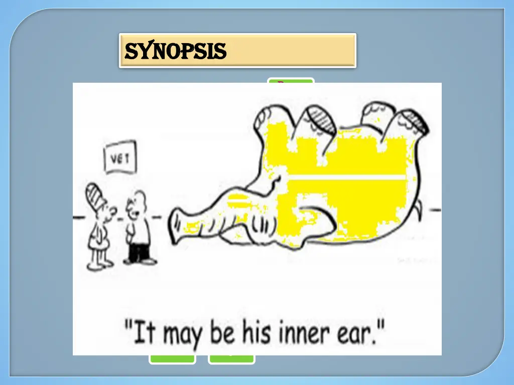 synopsis synopsis