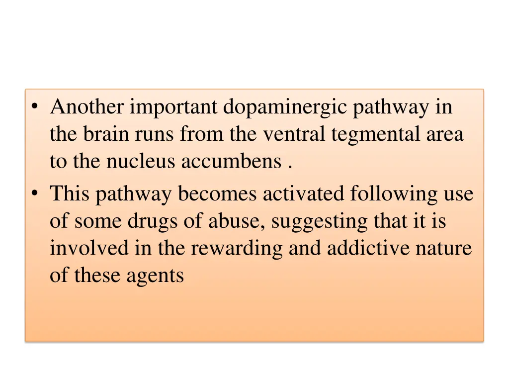 another important dopaminergic pathway