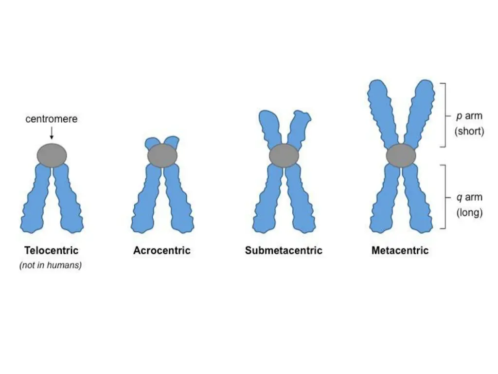 slide3
