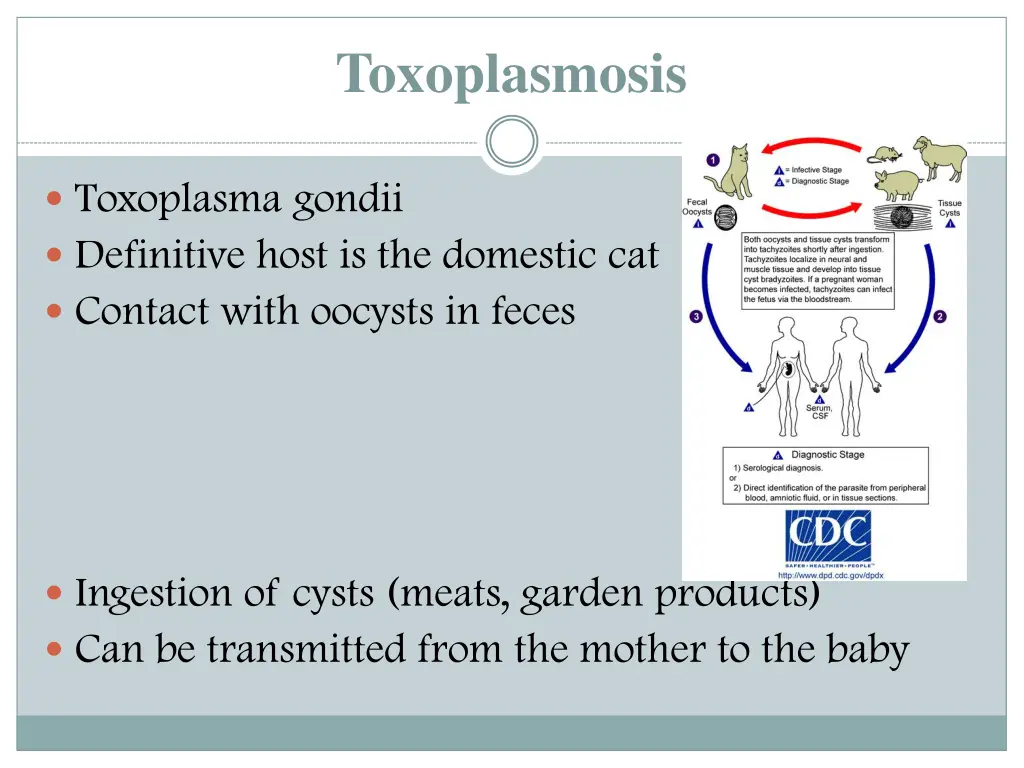 toxoplasmosis