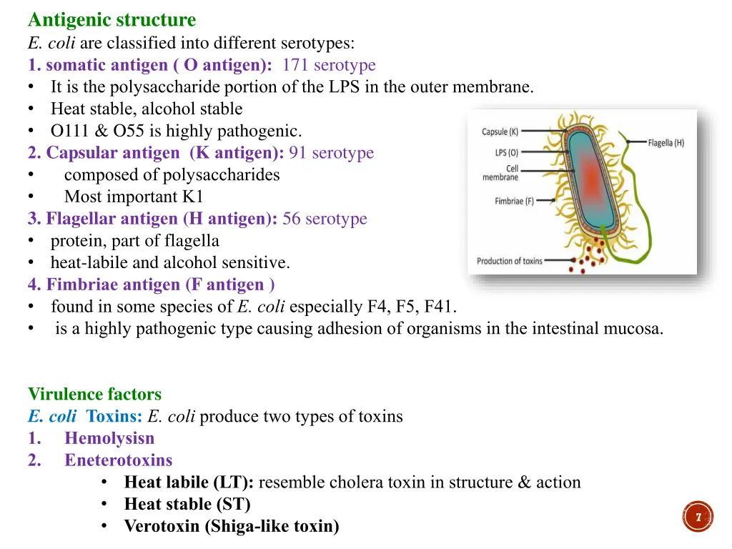 antigenic structure e coli are classified into