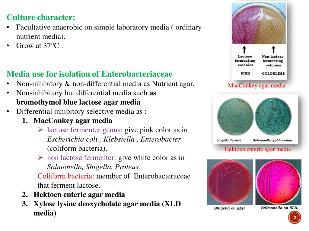 culture character facultative anaerobic on simple