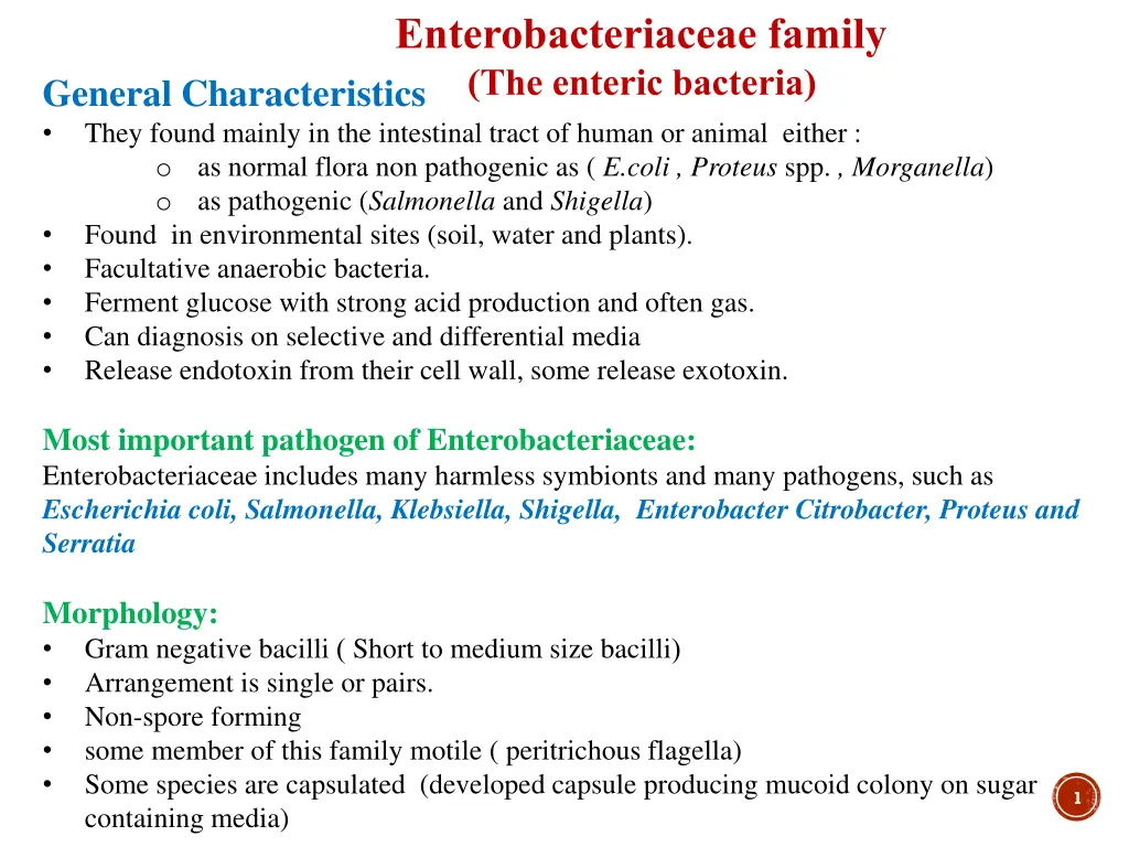 enterobacteriaceae family the enteric bacteria