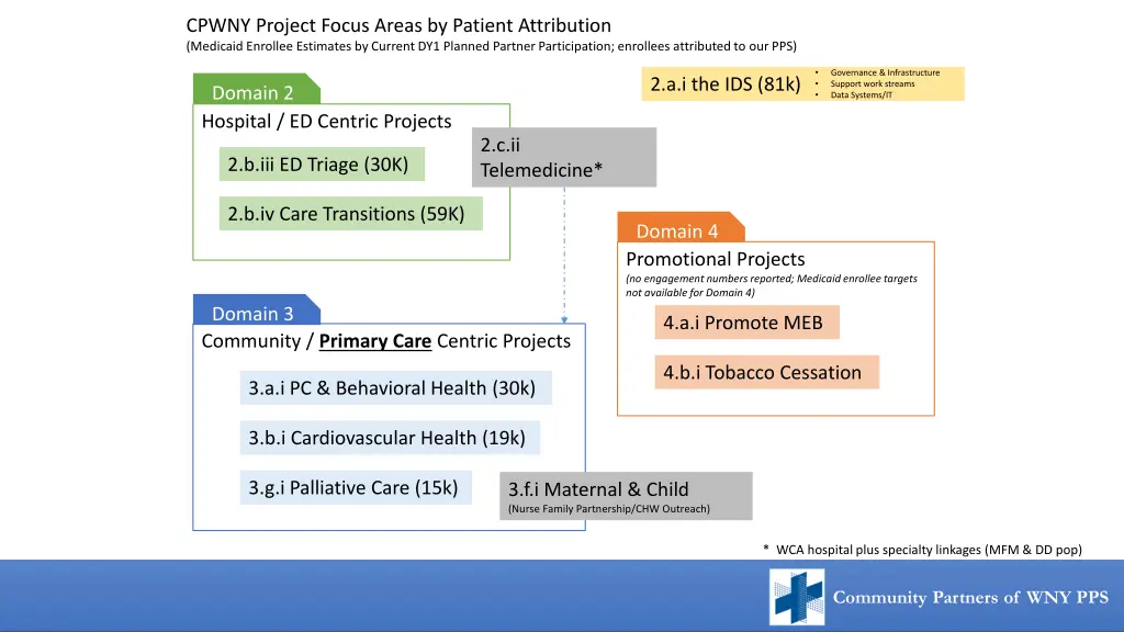 cpwny project focus areas by patient attribution