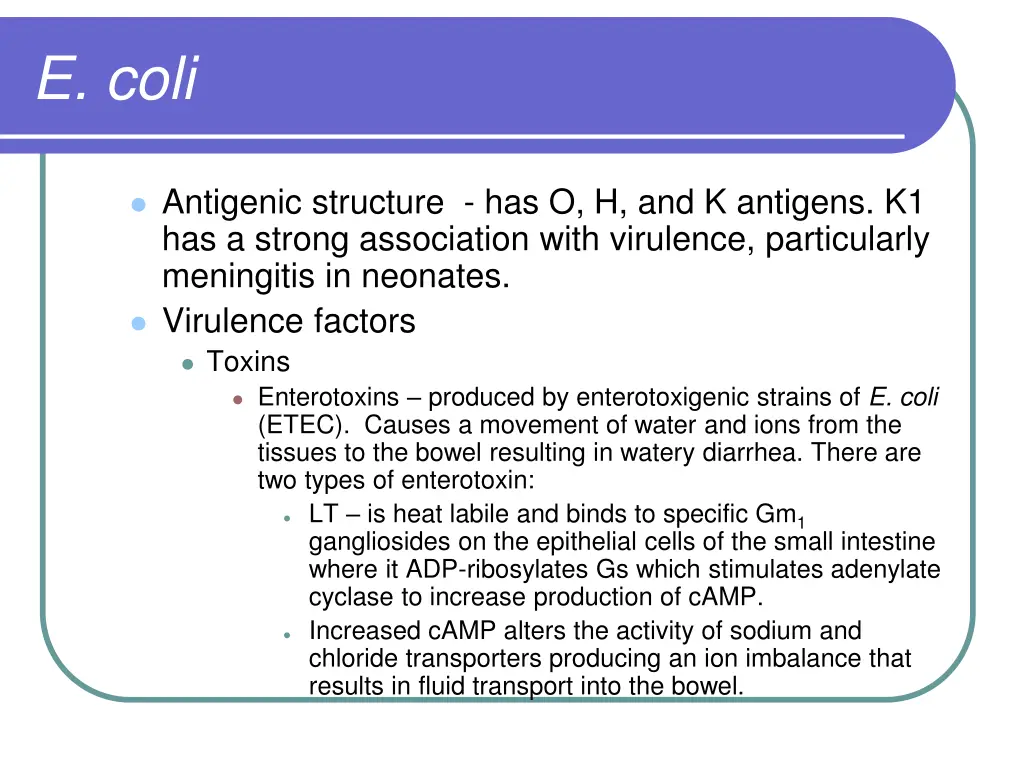 e coli 1