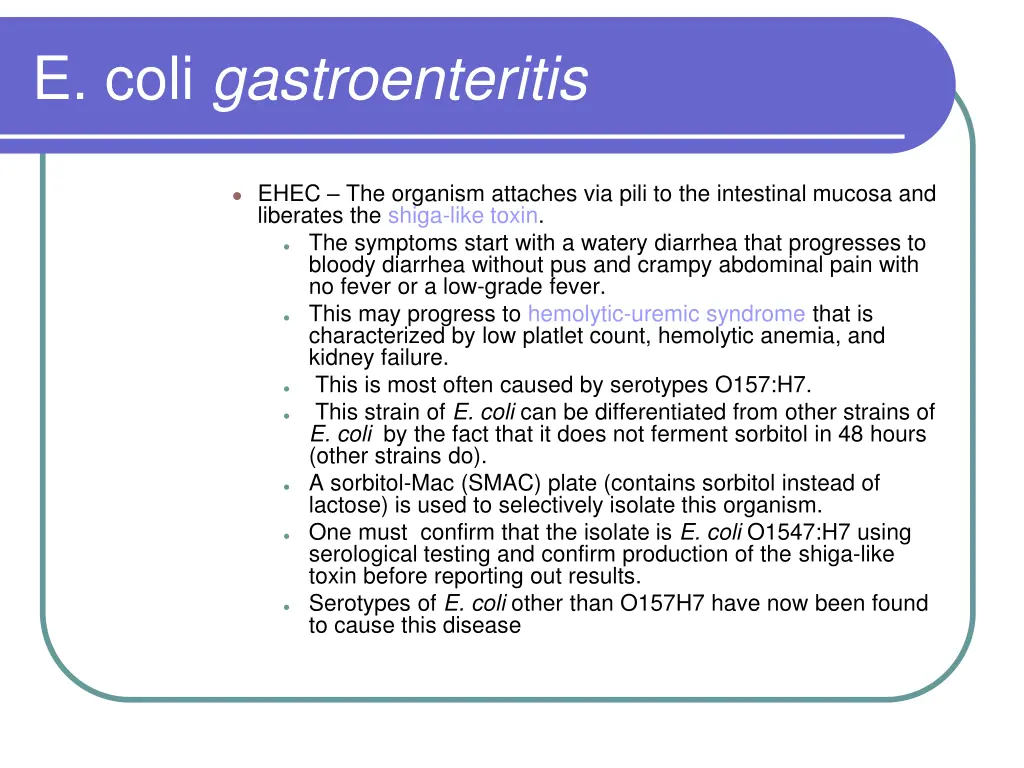 e coli gastroenteritis