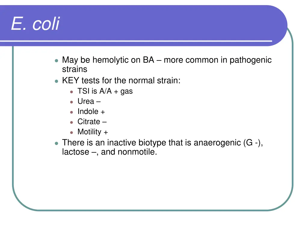 e coli