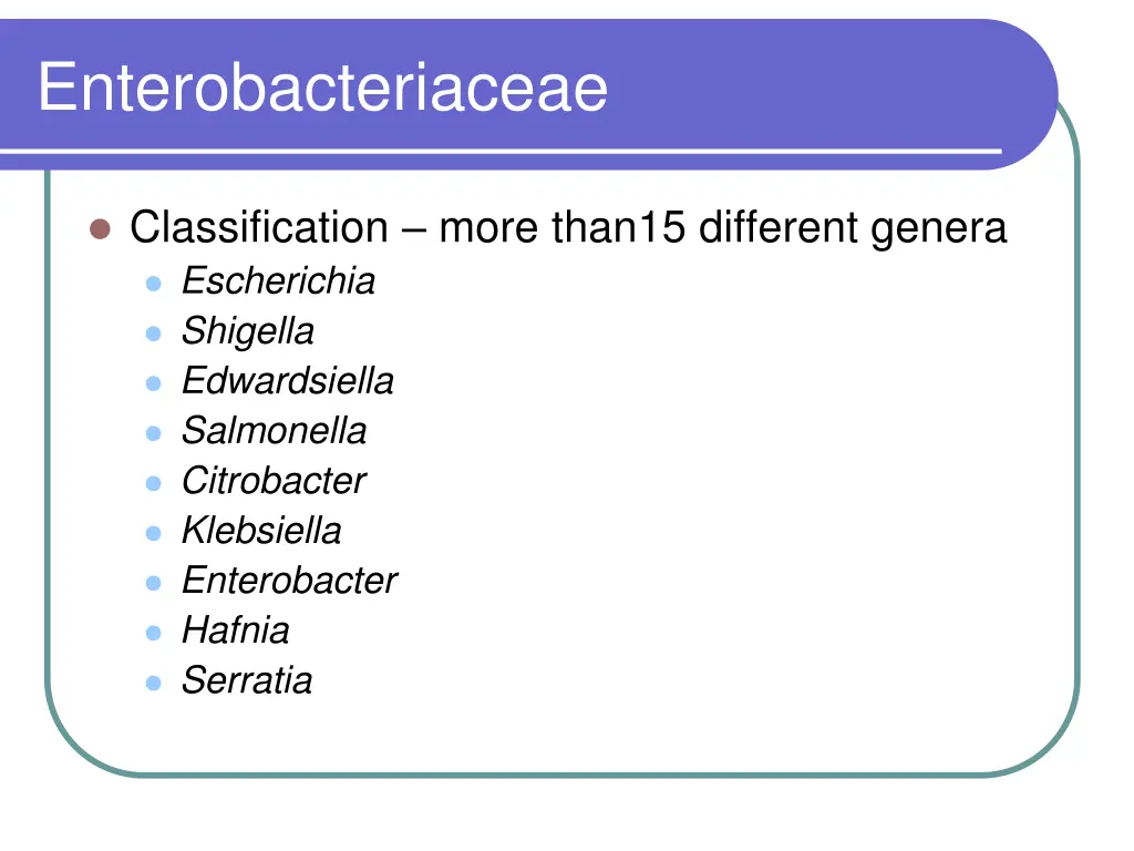 enterobacteriaceae 1