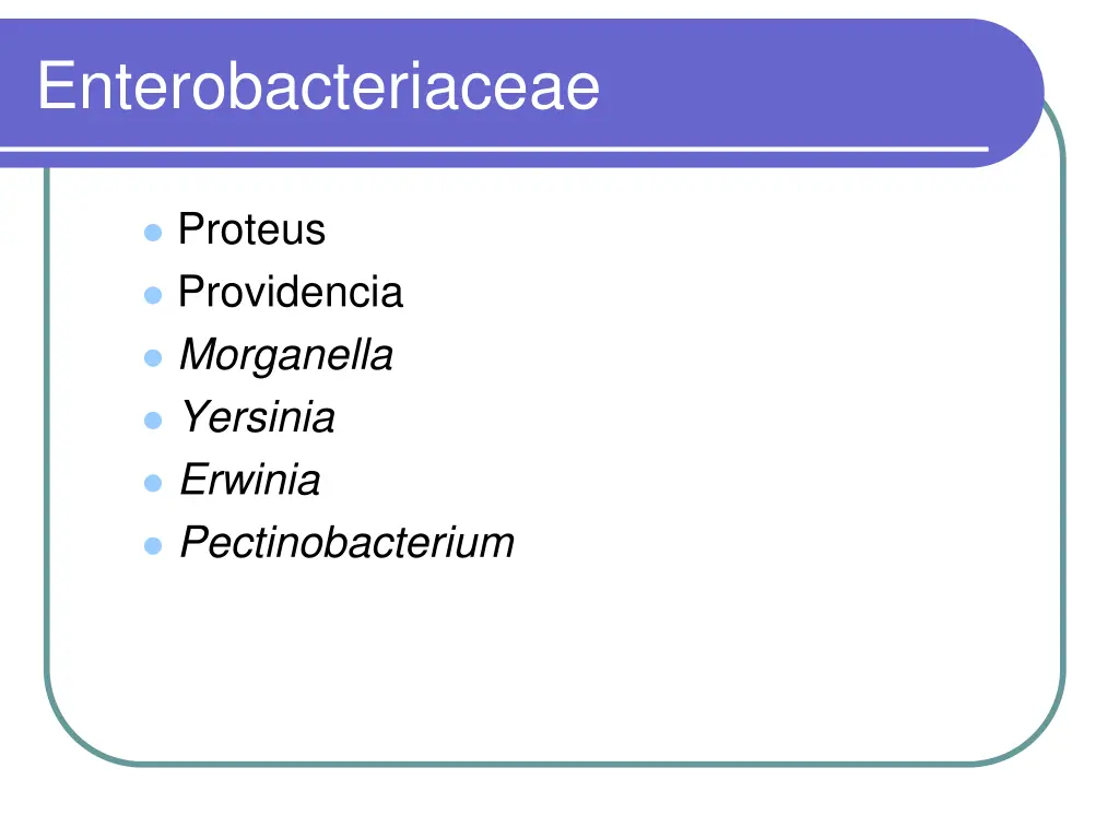 enterobacteriaceae 2