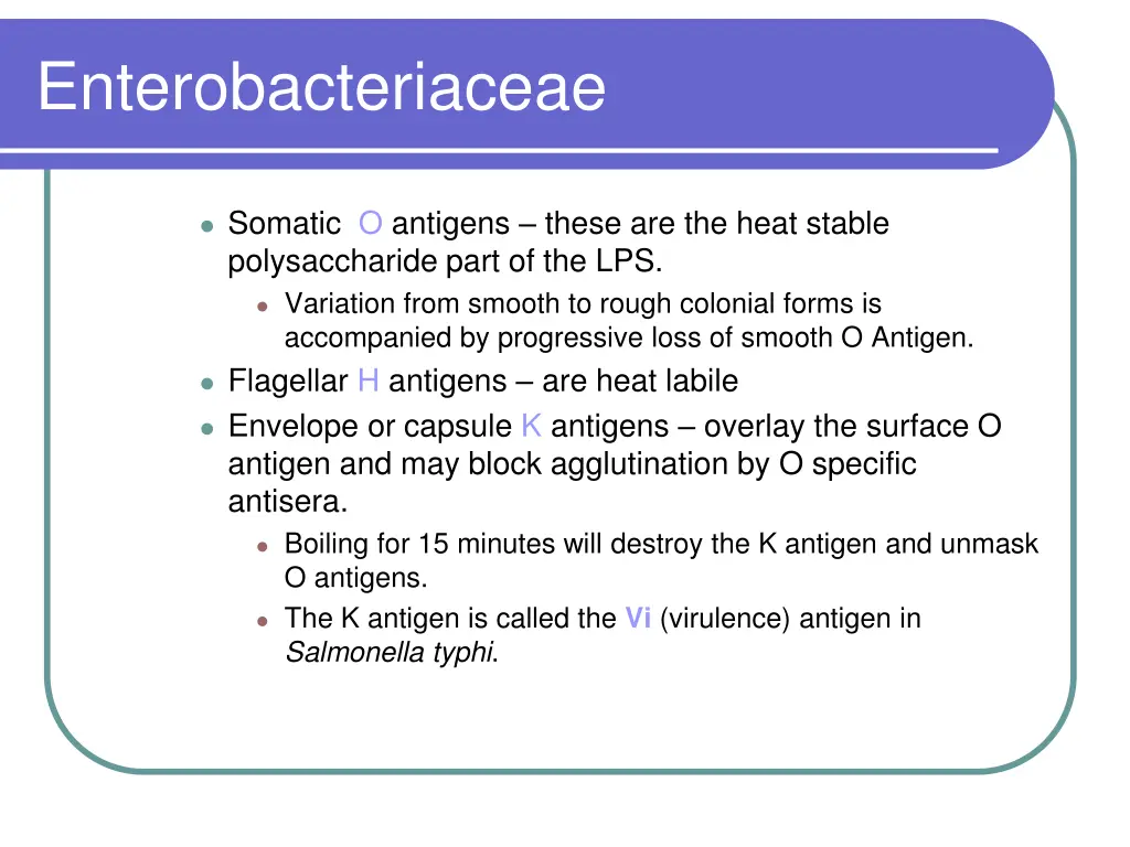 enterobacteriaceae 3