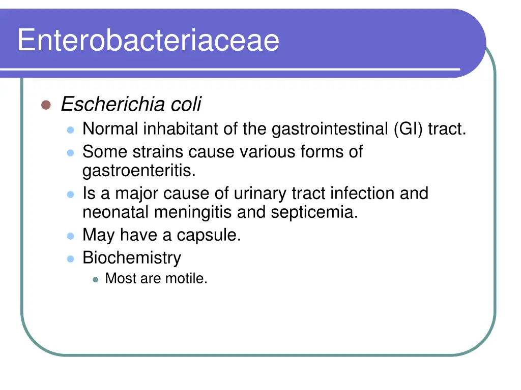 enterobacteriaceae 4