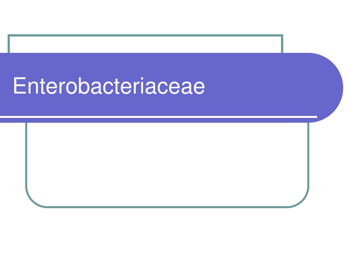 enterobacteriaceae