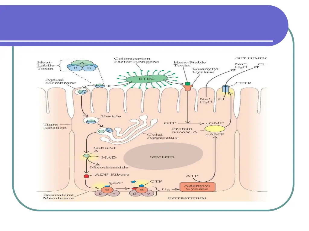 slide9