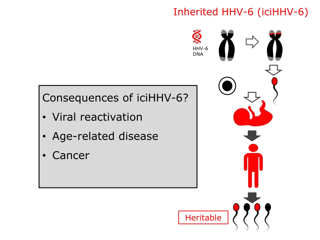 inherited hhv 6 icihhv 6