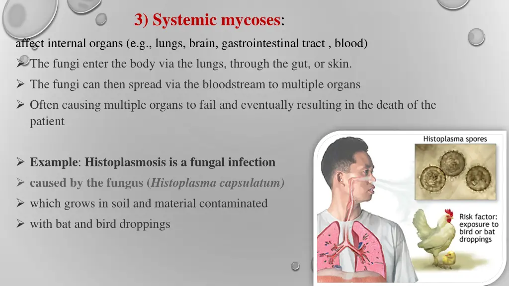 3 systemic mycoses