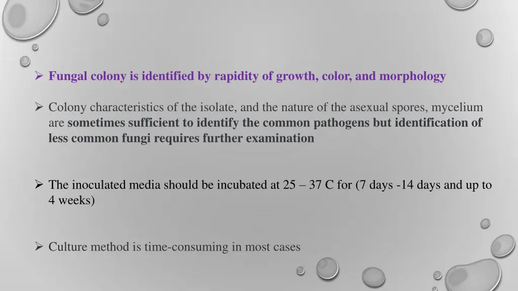 fungal colony is identified by rapidity of growth