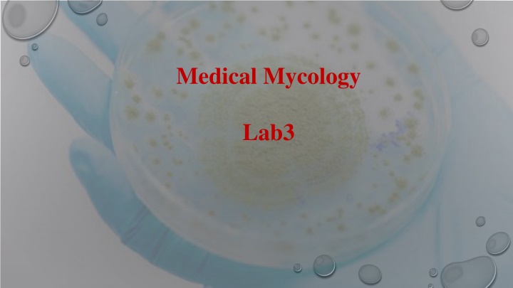 medical mycology