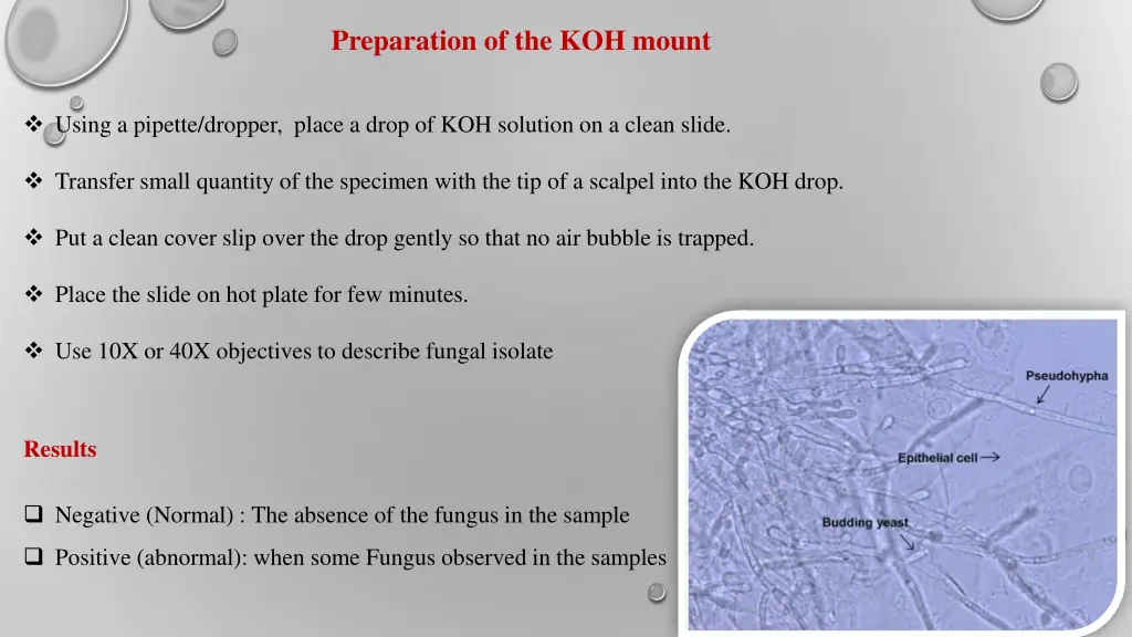preparation of the koh mount