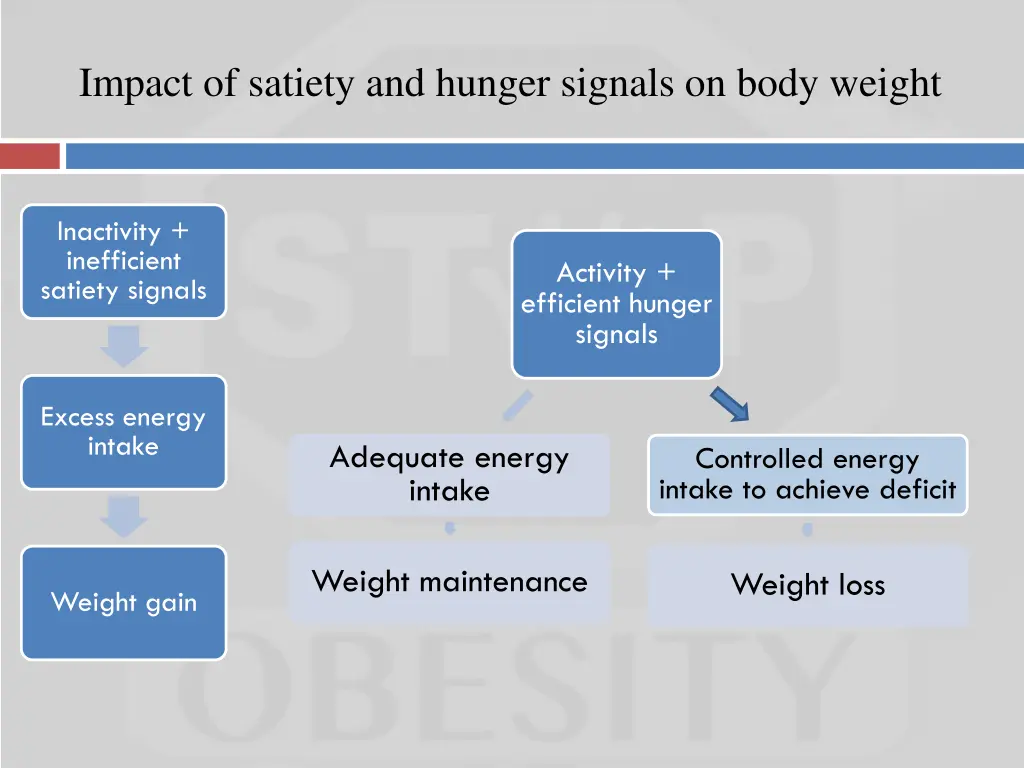 impact of satiety and hunger signals on body