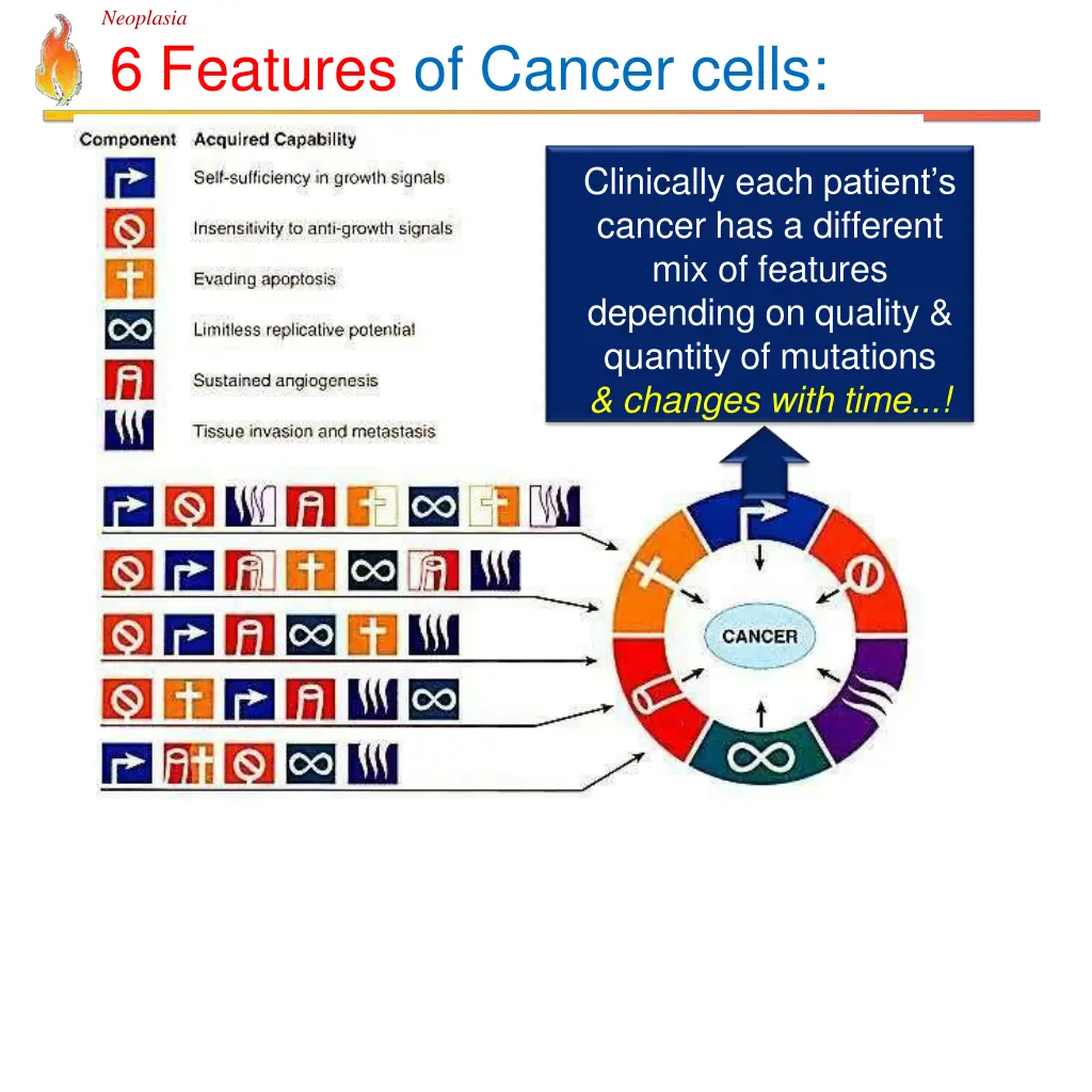 neoplasia 6 features of cancer cells