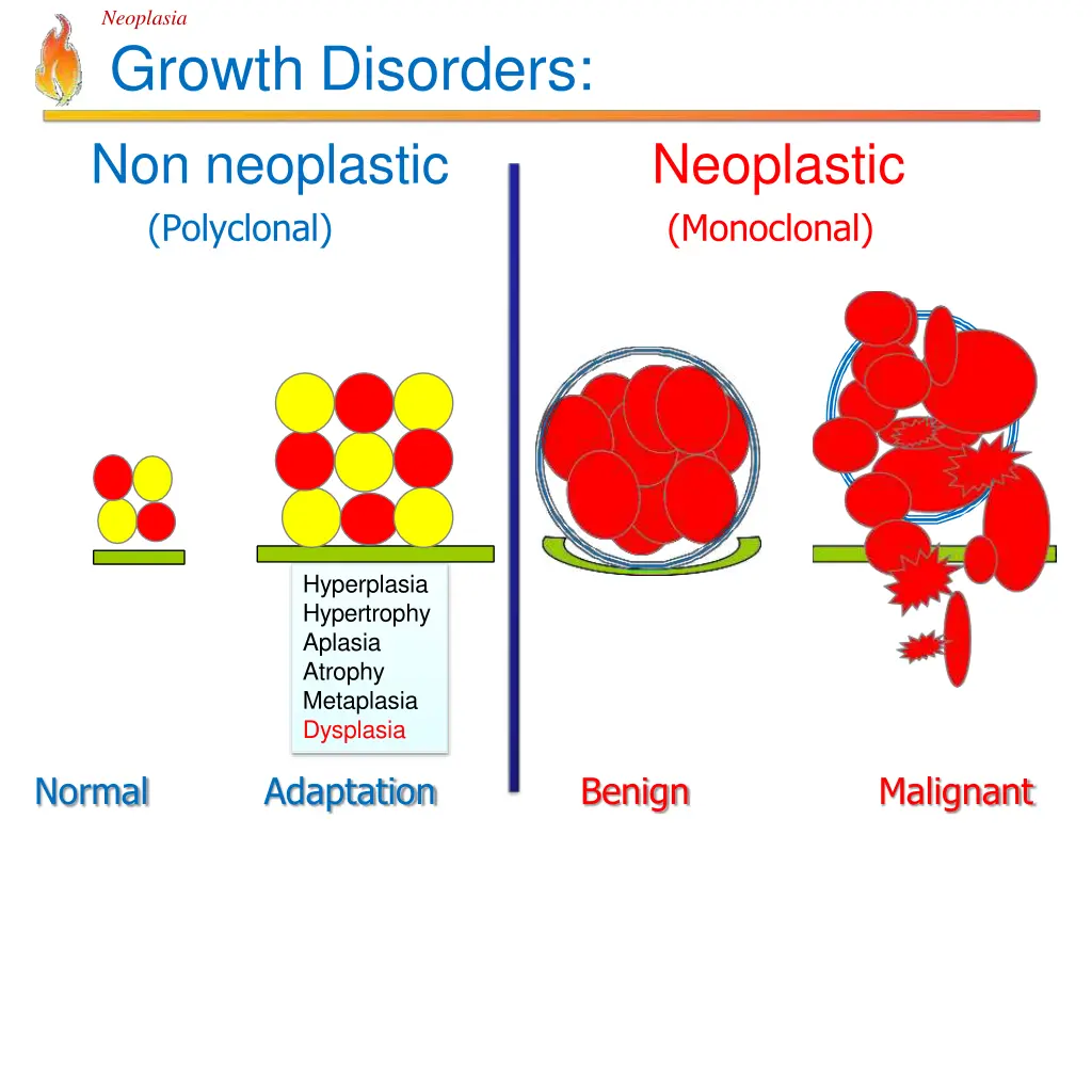 neoplasia growth disorders