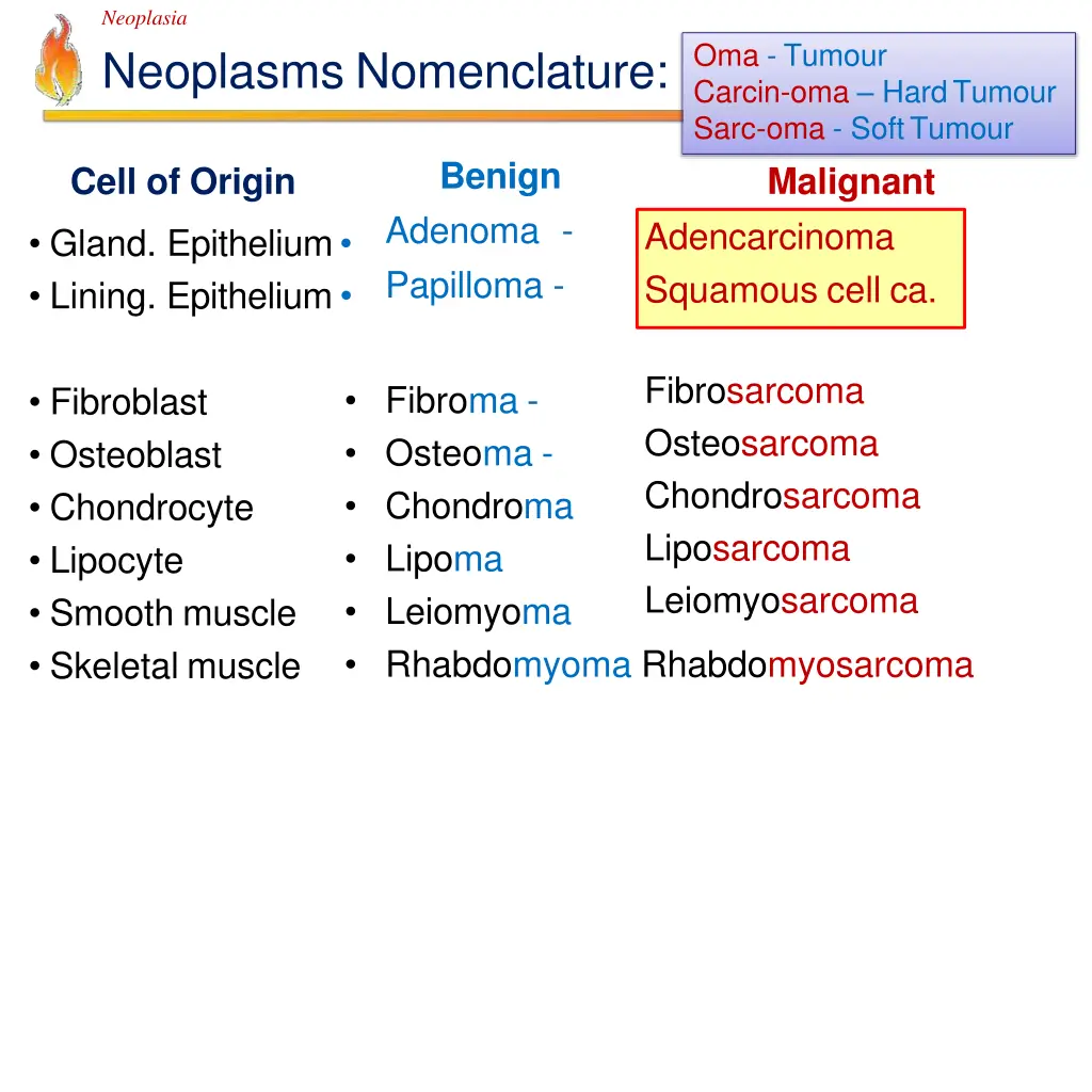 neoplasia neoplasms nomenclature