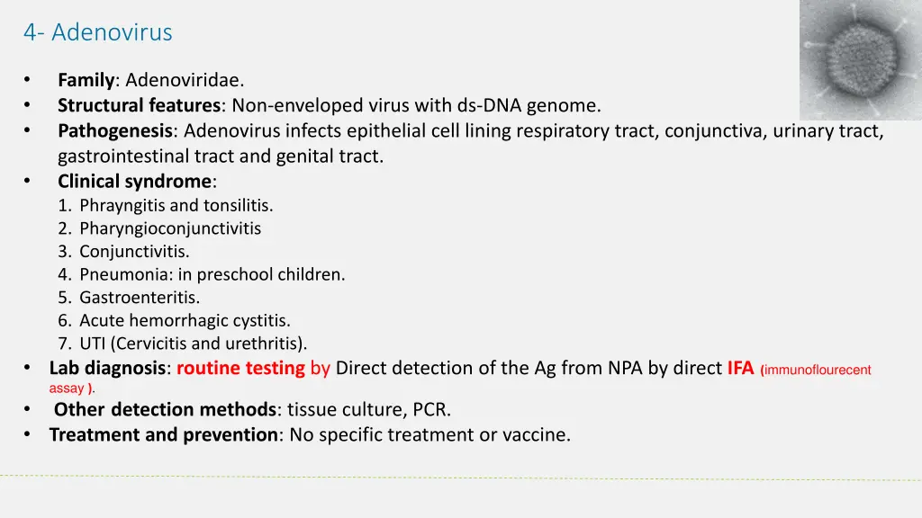 4 adenovirus