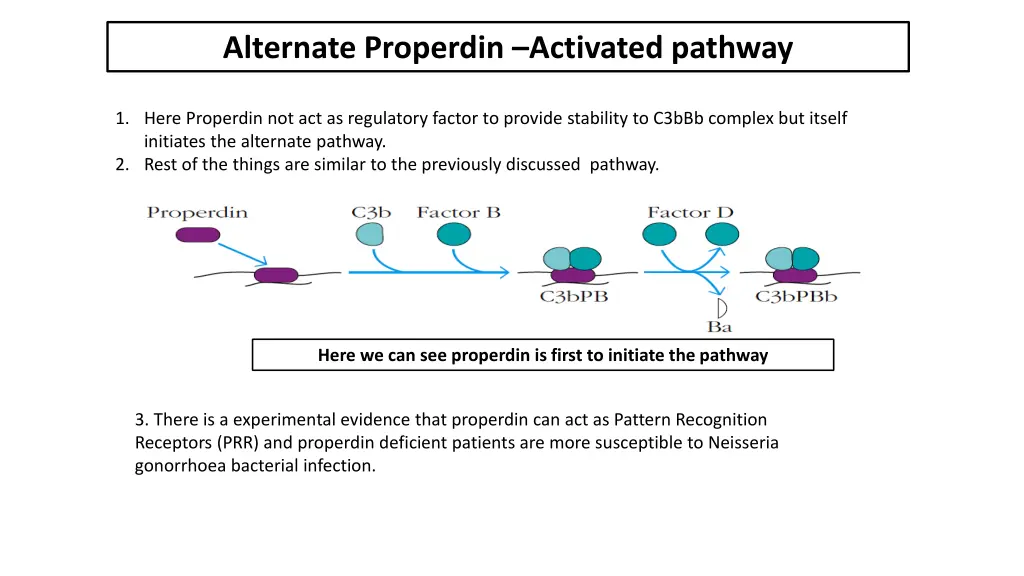 alternate properdin activated pathway