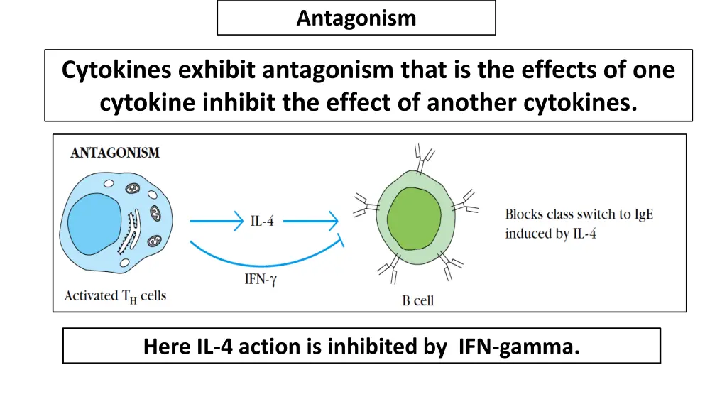 antagonism