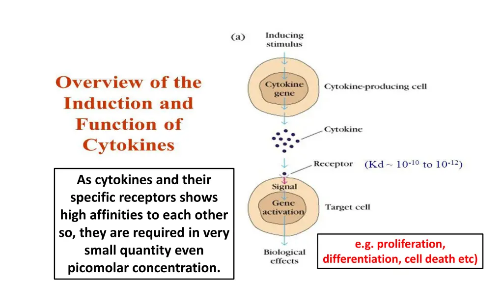 as cytokines and their specific receptors shows